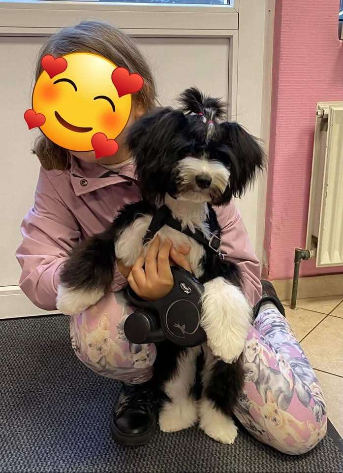 Fajna Energia Sasimafci