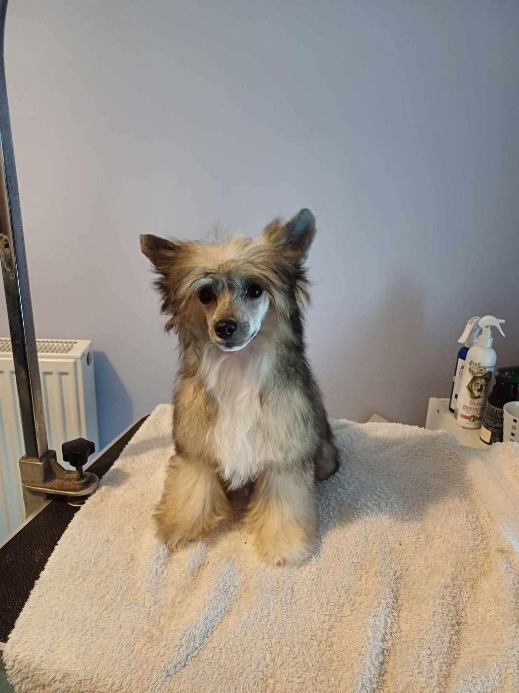 Parcauwen Next Edition