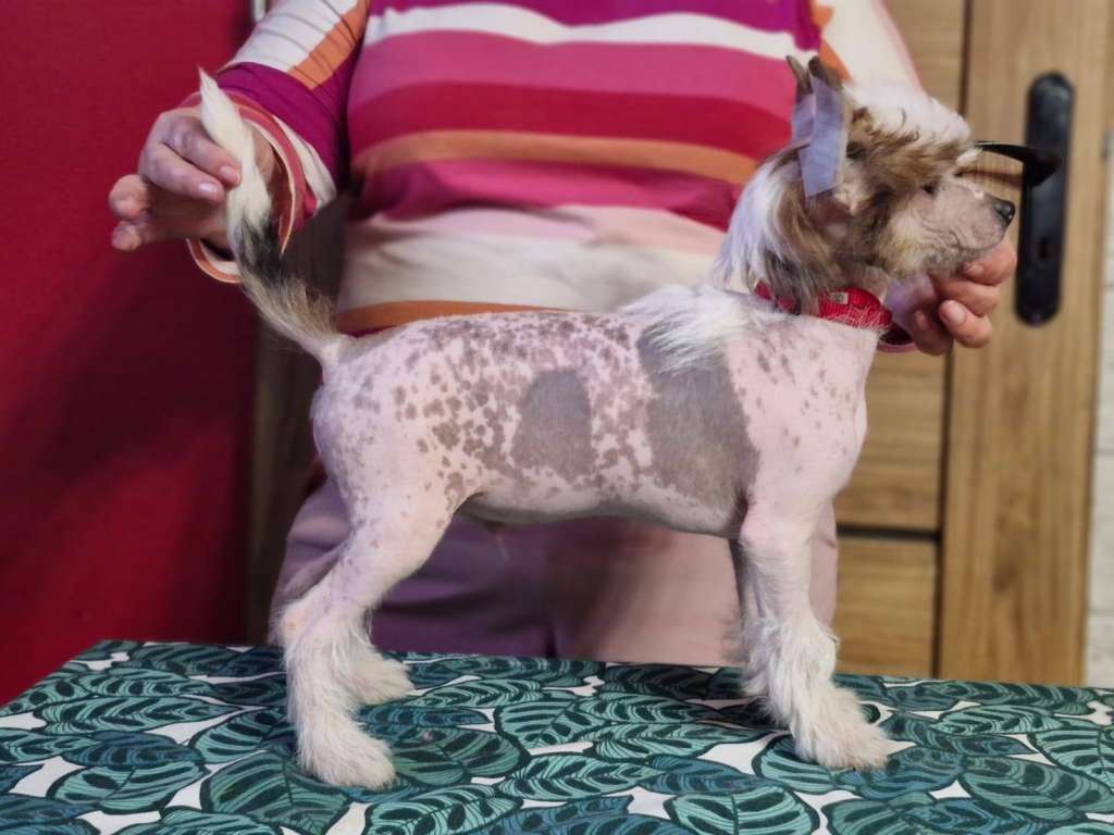 Yang Ze Zlocistego Raju