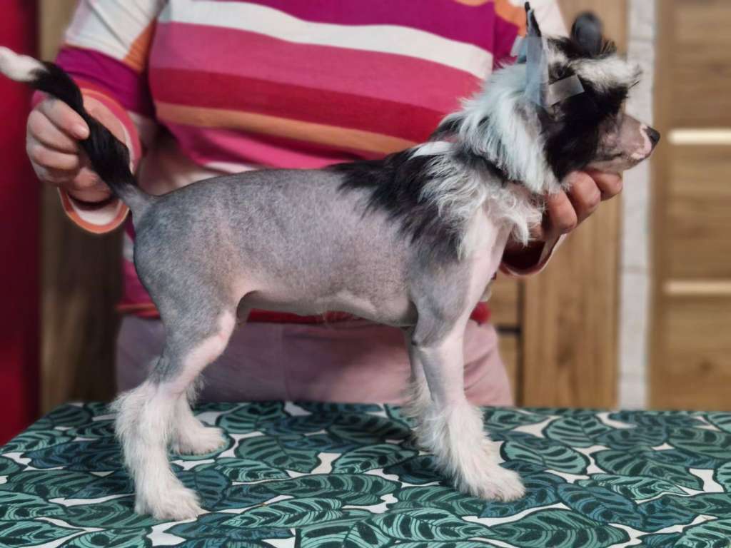 Yin Ze Zlocistego Raju