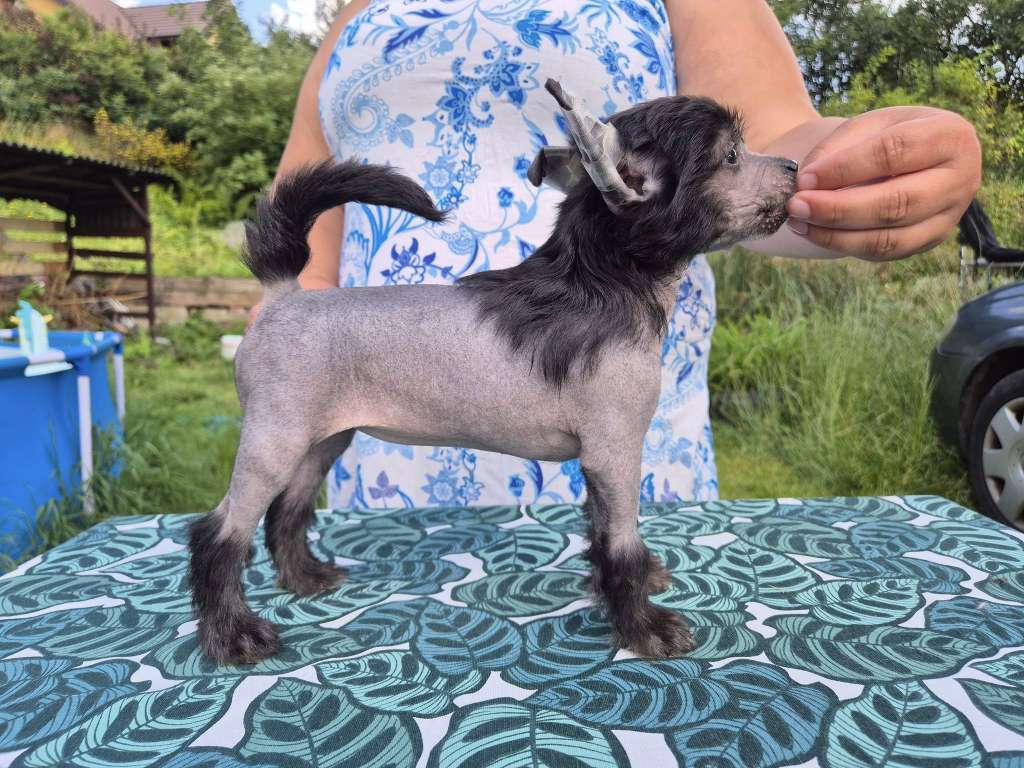 Hikari Ze Zlocistego Raju