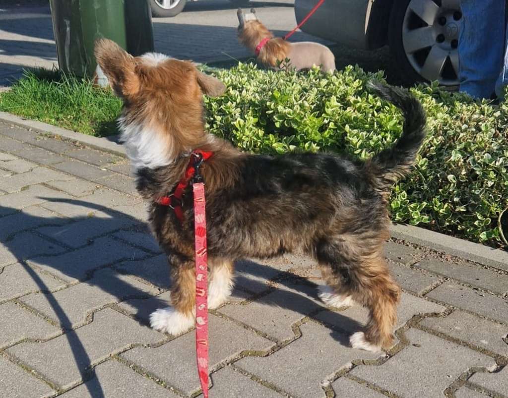 Gita Ze Zlocistego Raju