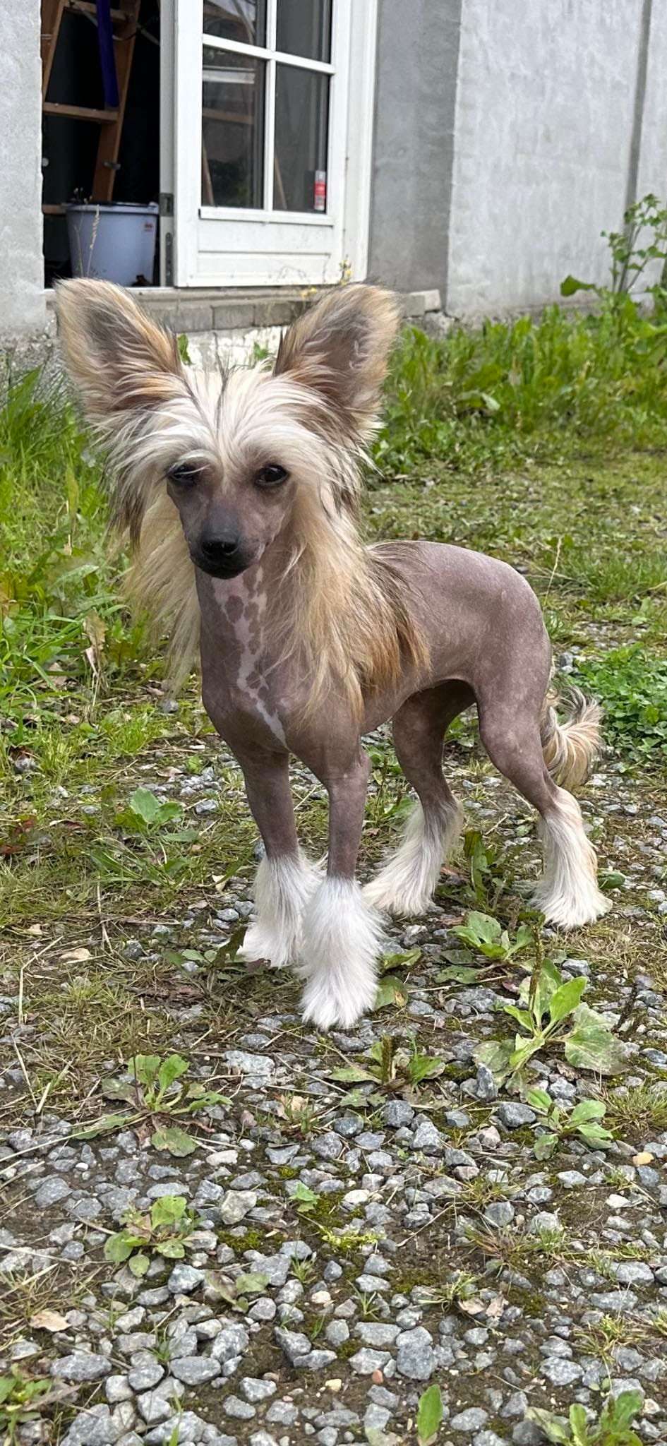 Fiona Ze Zlocistego Raju