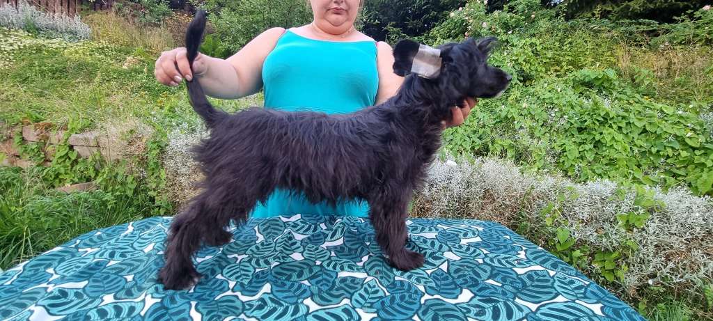 Everest Ze Zlocistego Raju