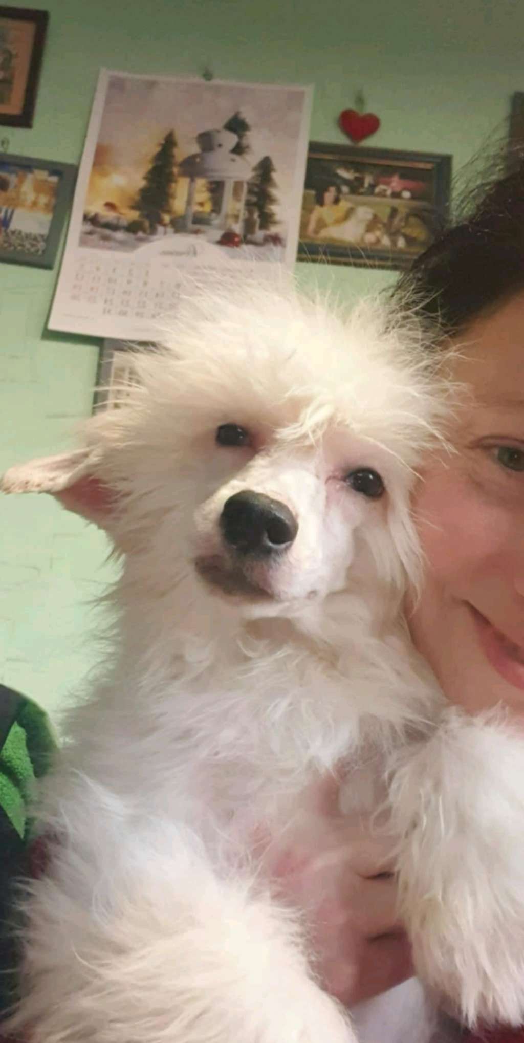 Zanzibar Dneprovskoye Solntse