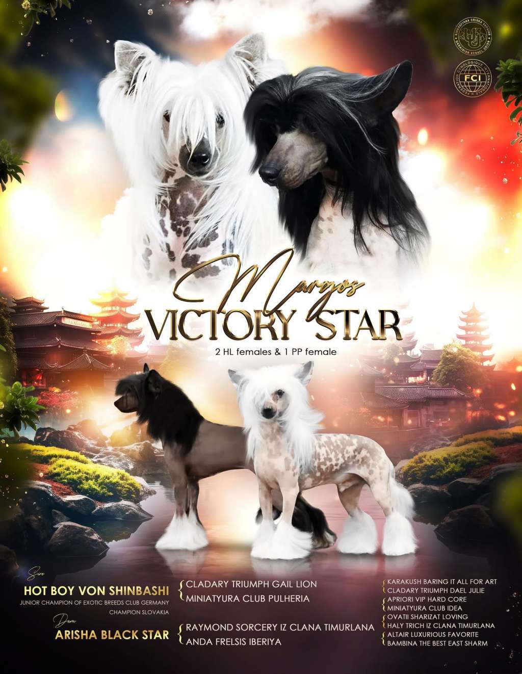 Galatea Margos Victory Star