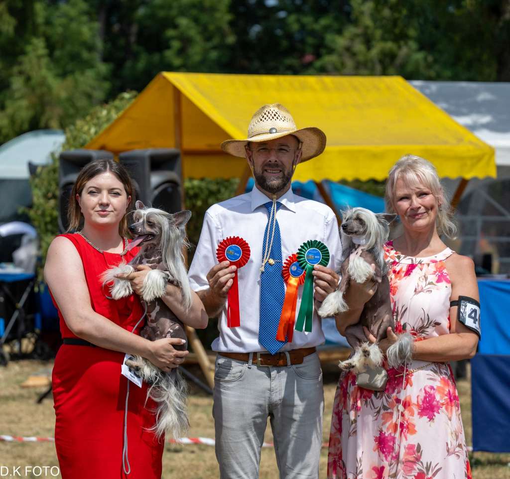 Cc Top Exclusive Issa