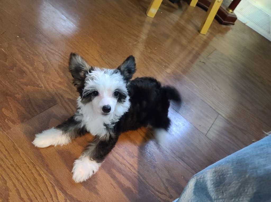 Long Haul's Who's On 1st