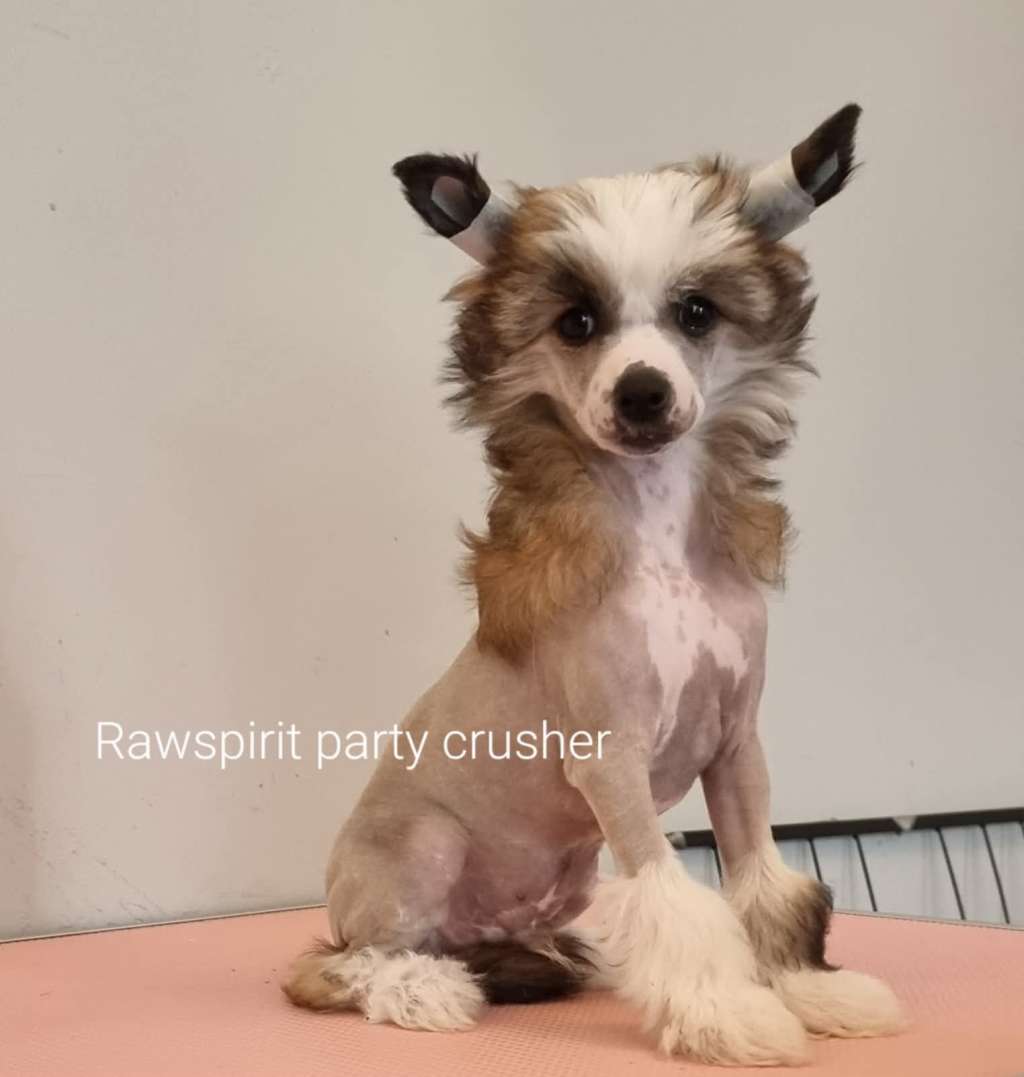 Rawspirit Party Crusher