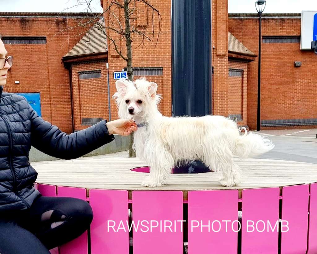 Rawspirit Photo Bomb