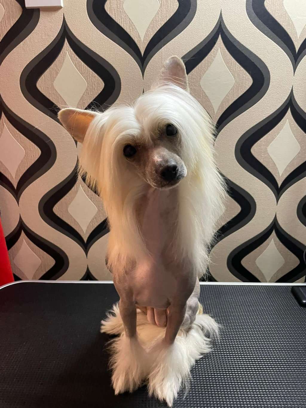 Rawspirit Sugar Bomb