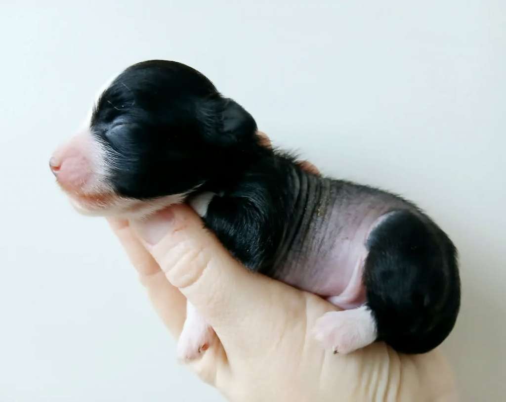 Concrete Clouds Soft For Boys