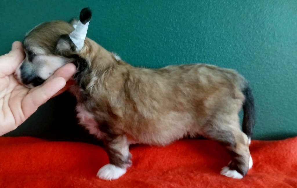 Concrete Clouds Mic Drop