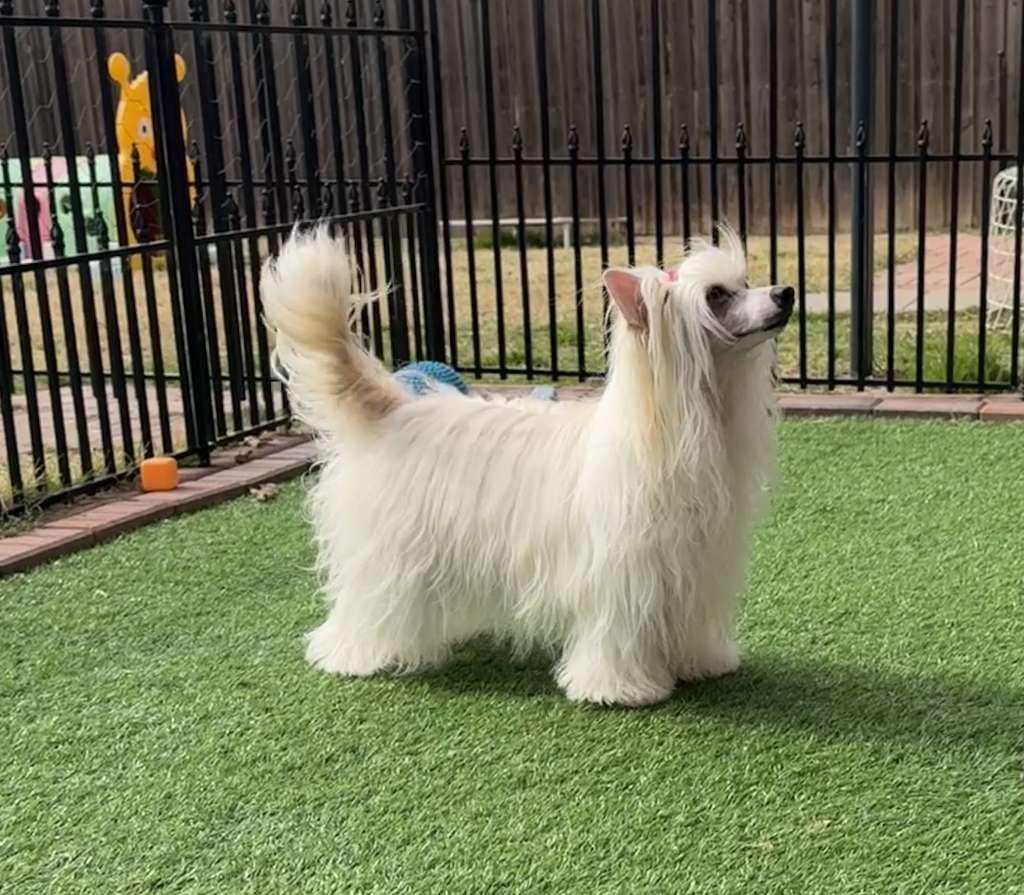 Olyuti's One A Sweet And Salty Caramel