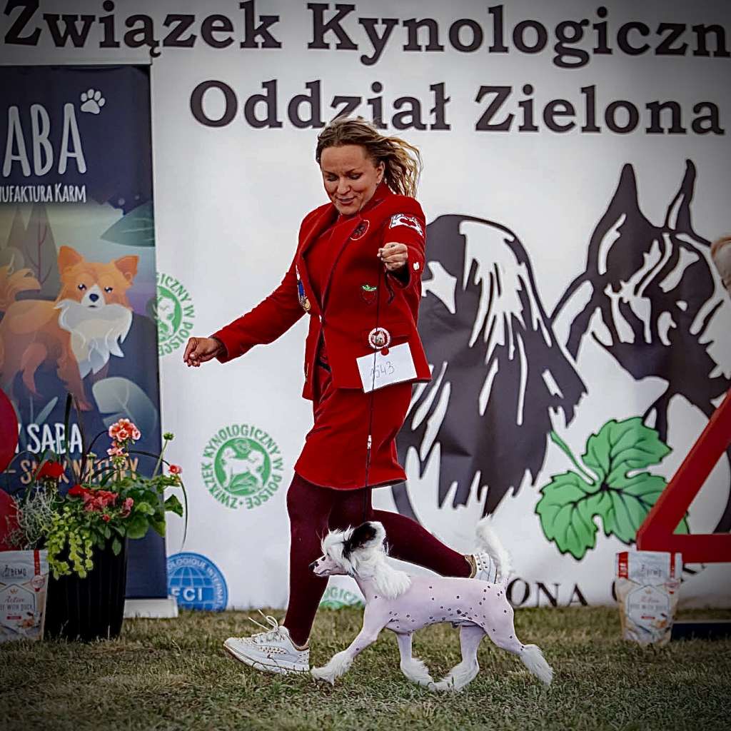 Victory Of Vice Conti Du Royaume De Fantasia