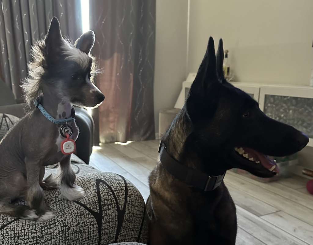 Olyuti's One Is Like a Touch Of Love