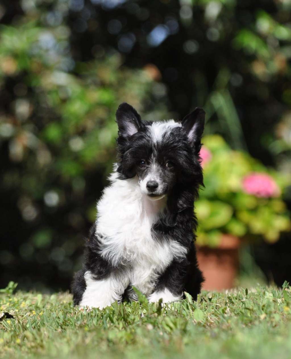 Victory's Laurel Rhyme And Soul