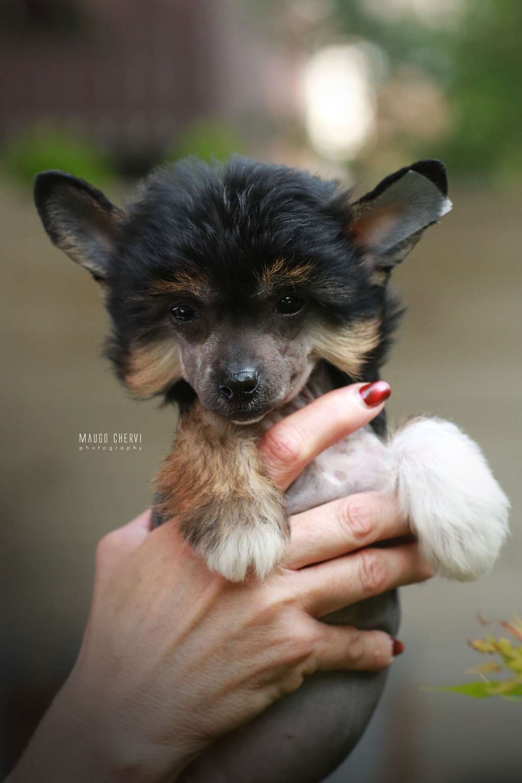 Mona Lisa Insolite Familier