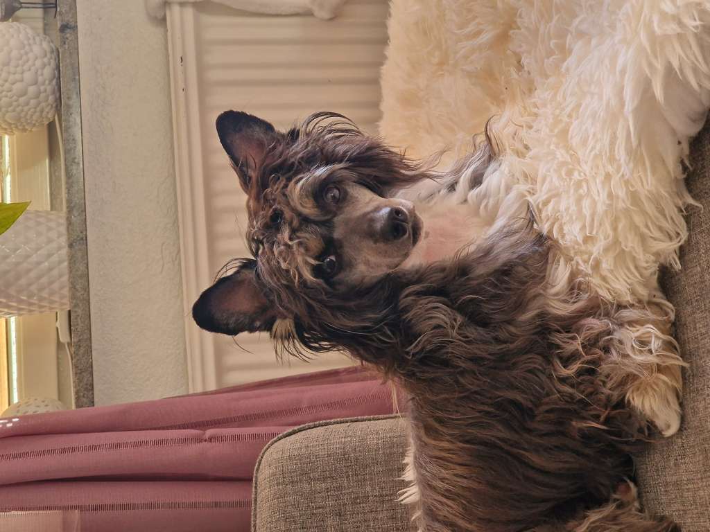 Carpe Canibus Mission Impossible