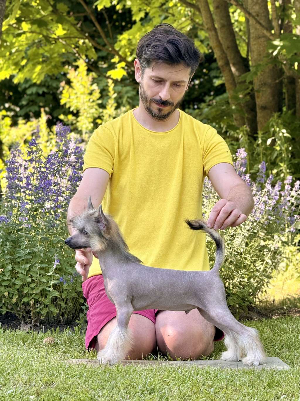 Sie Zobaczy Next Germanika