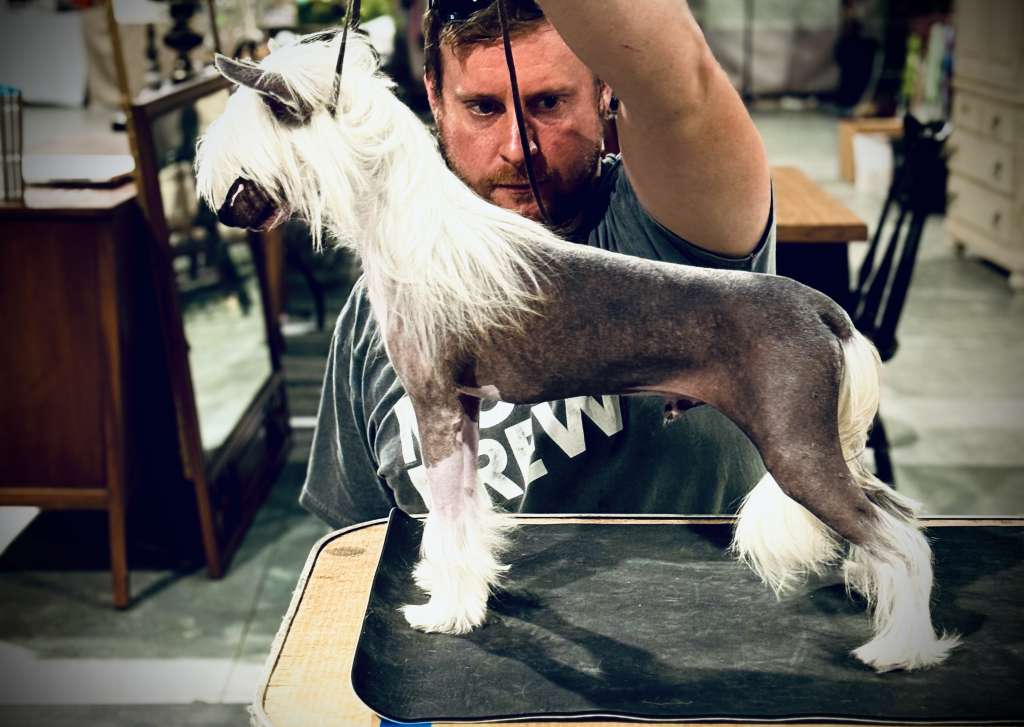 Eleganza n Kellyn in it to win it