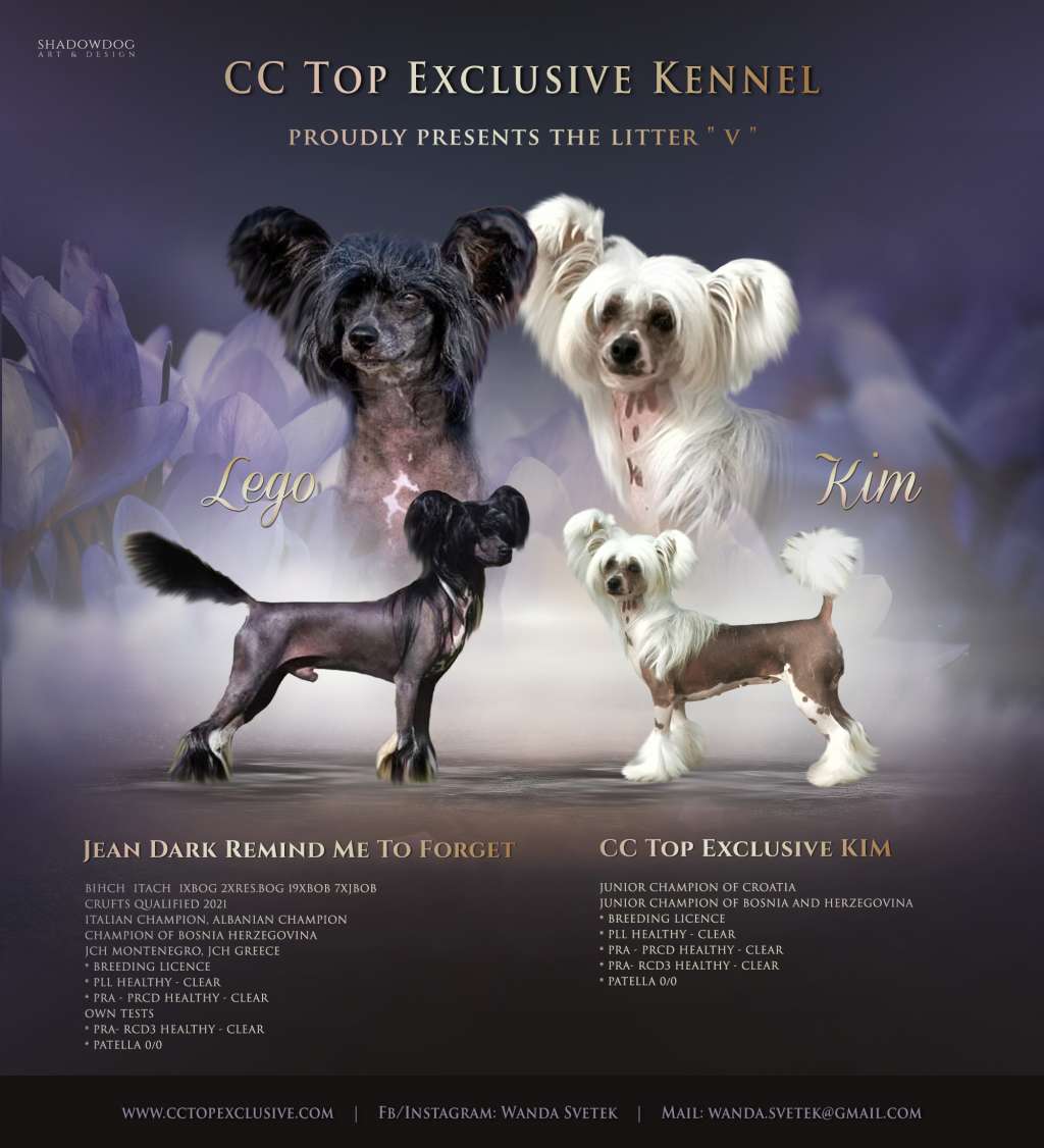 Cc Top Exclusive Voodoo Lily