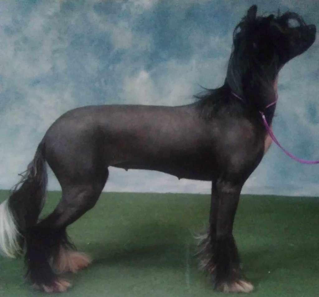 Doonbeg Less is More