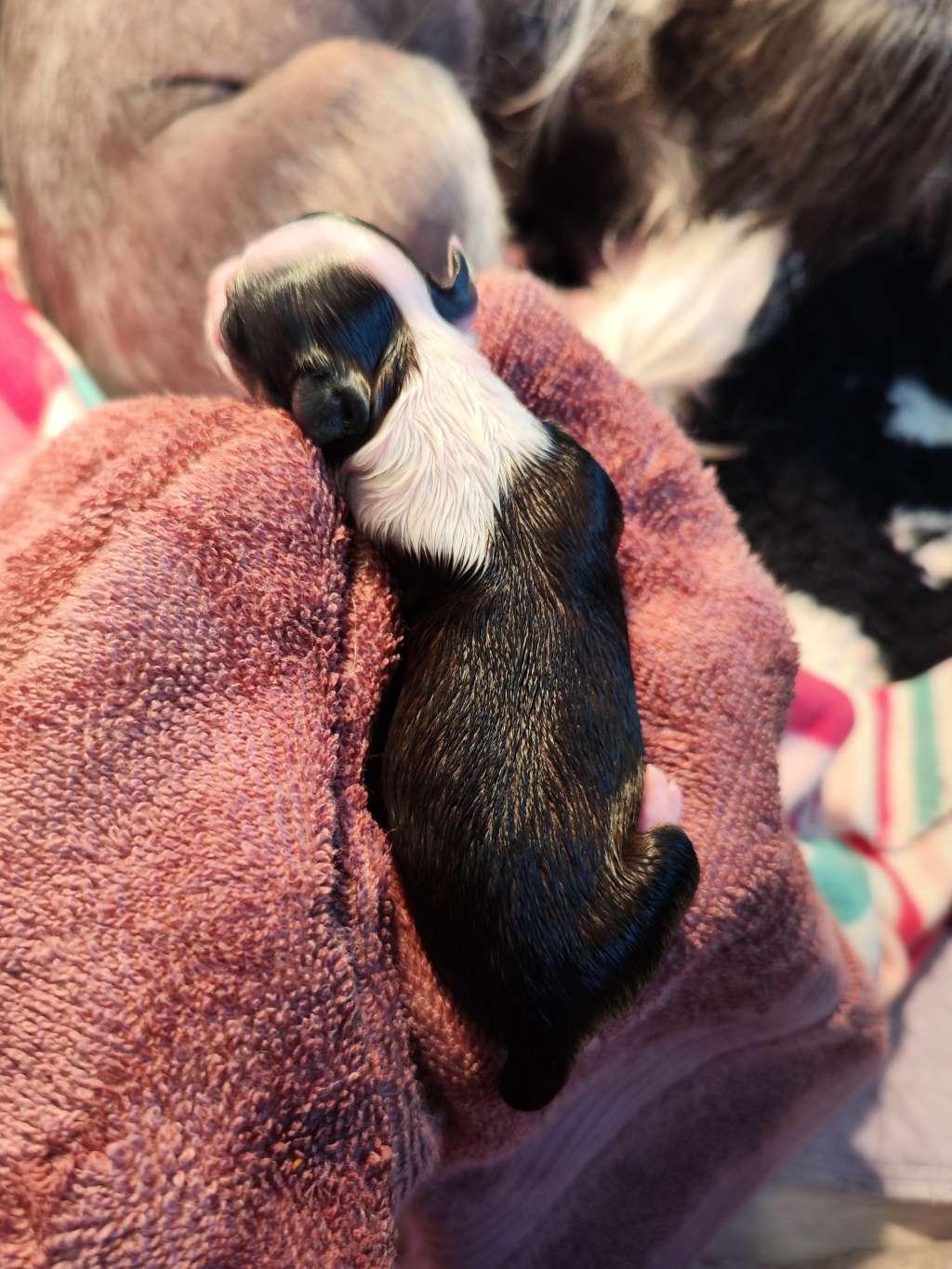 Naked Stars Born To Be A Unicorn