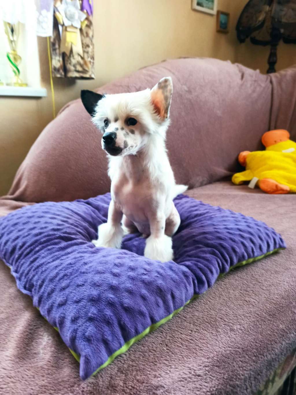 Uranus z Pulnocního dvora