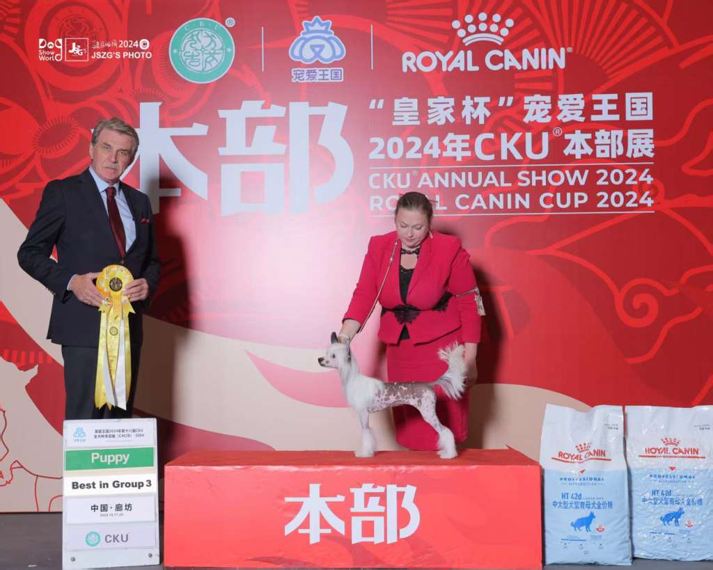 Cercea For Gi Gi Bond