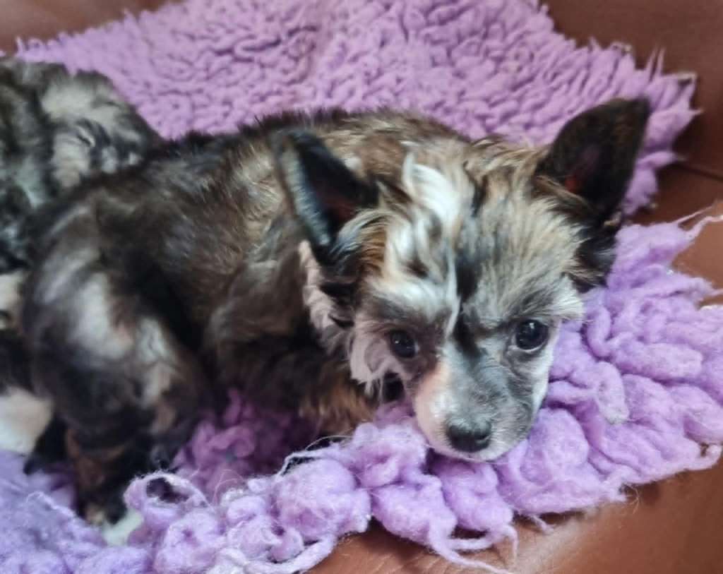 Beachcrest Winter Beauty