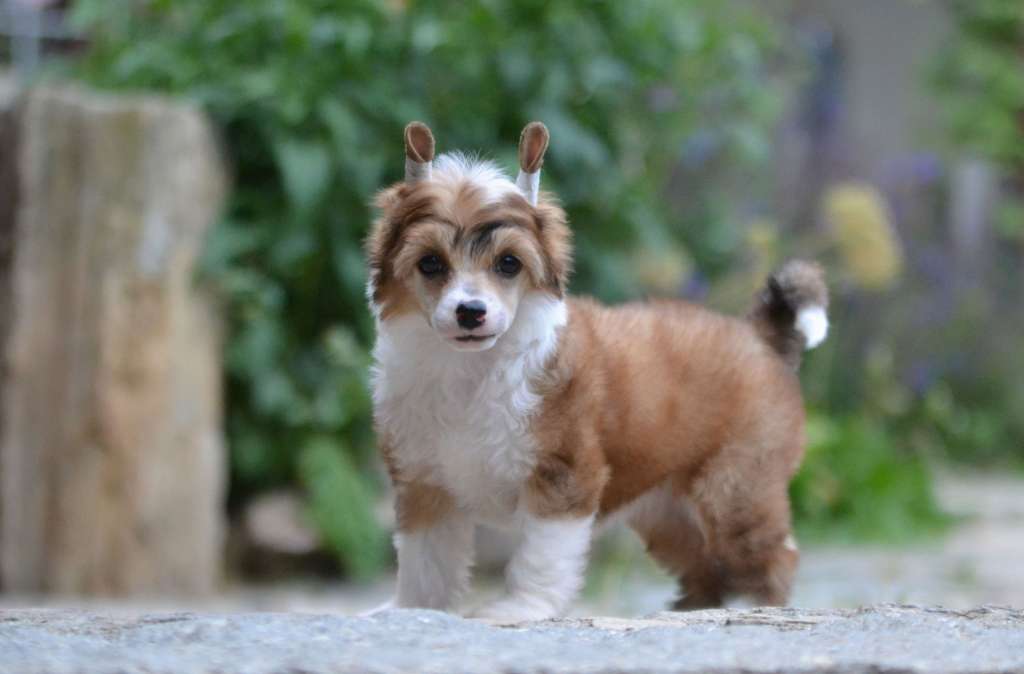 Just Wait and See Akwen