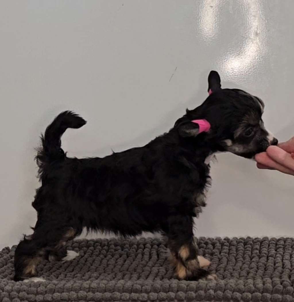 Kaitlin Gone With The Glow