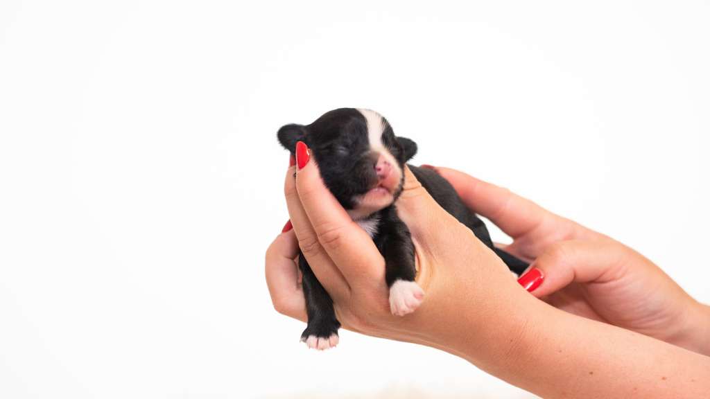 Omg I Am The Only Boy Modern Family