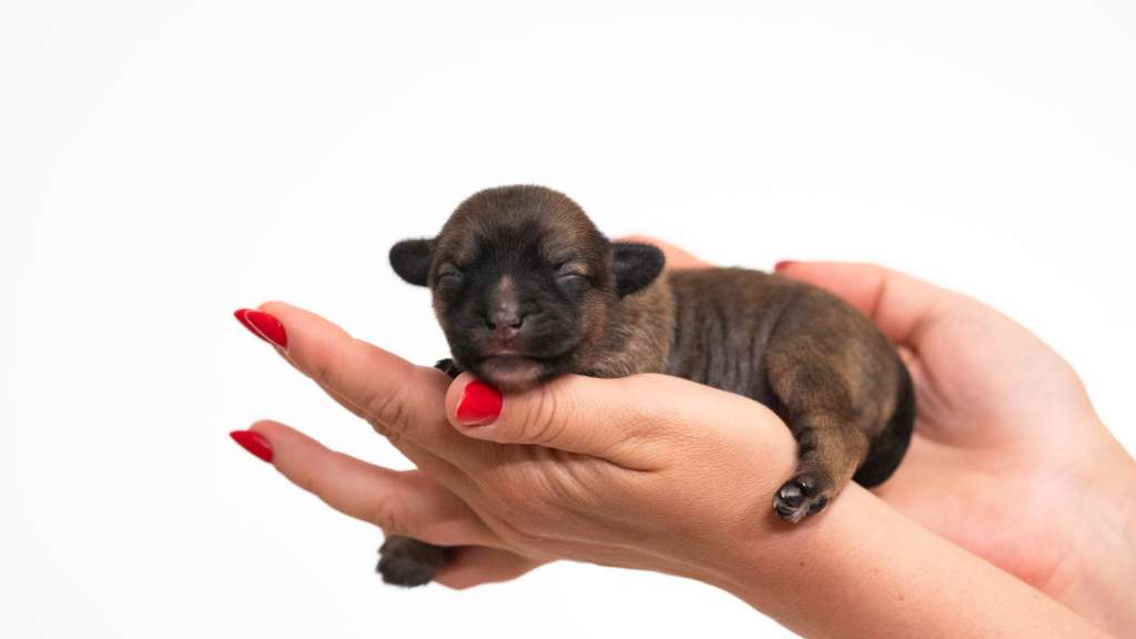 Omg I Am Hairless Modern Family