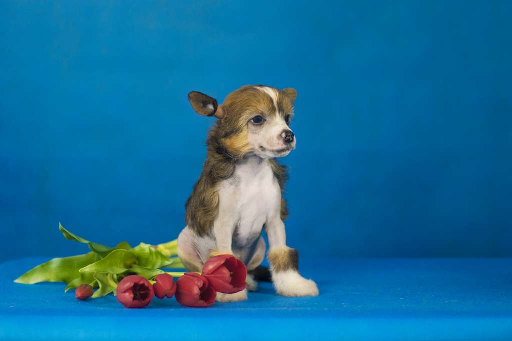 Vantage In Every Way