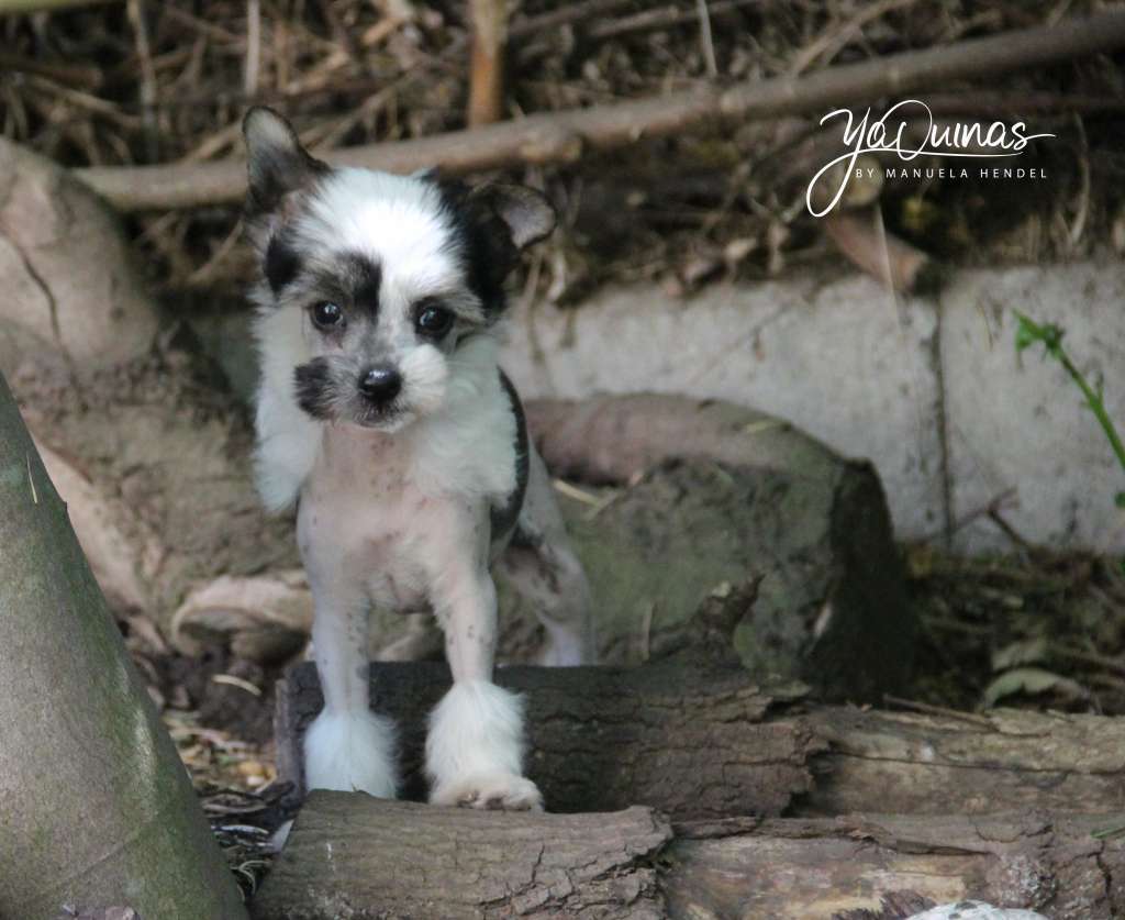 Yaquinas Moment In Time