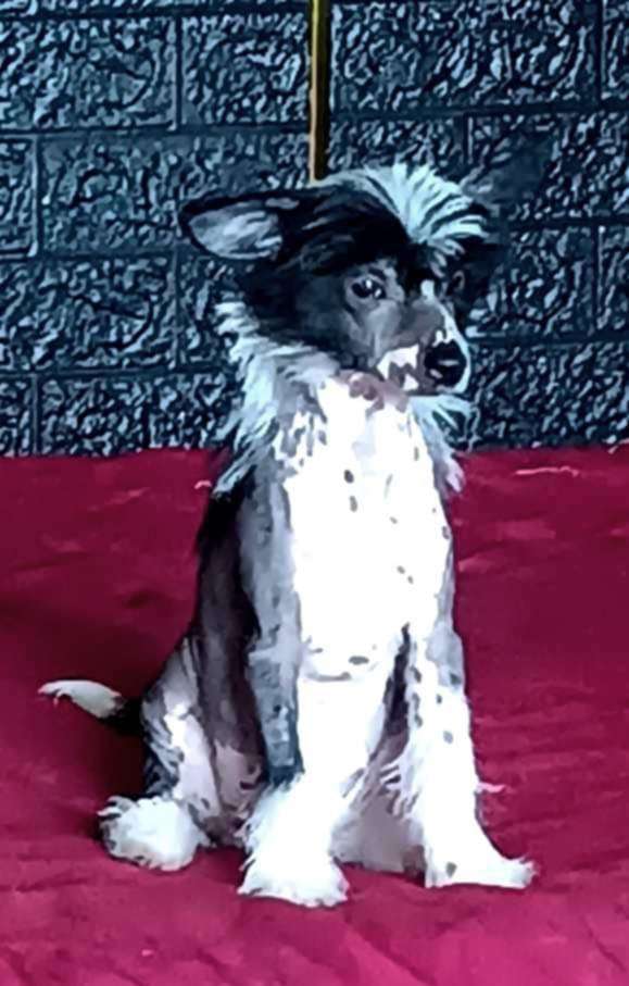 Amour De Luxe Barcelona