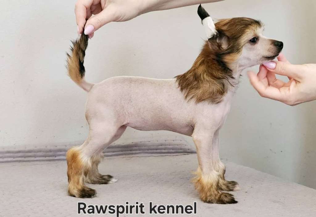 Rawspirit Undercover