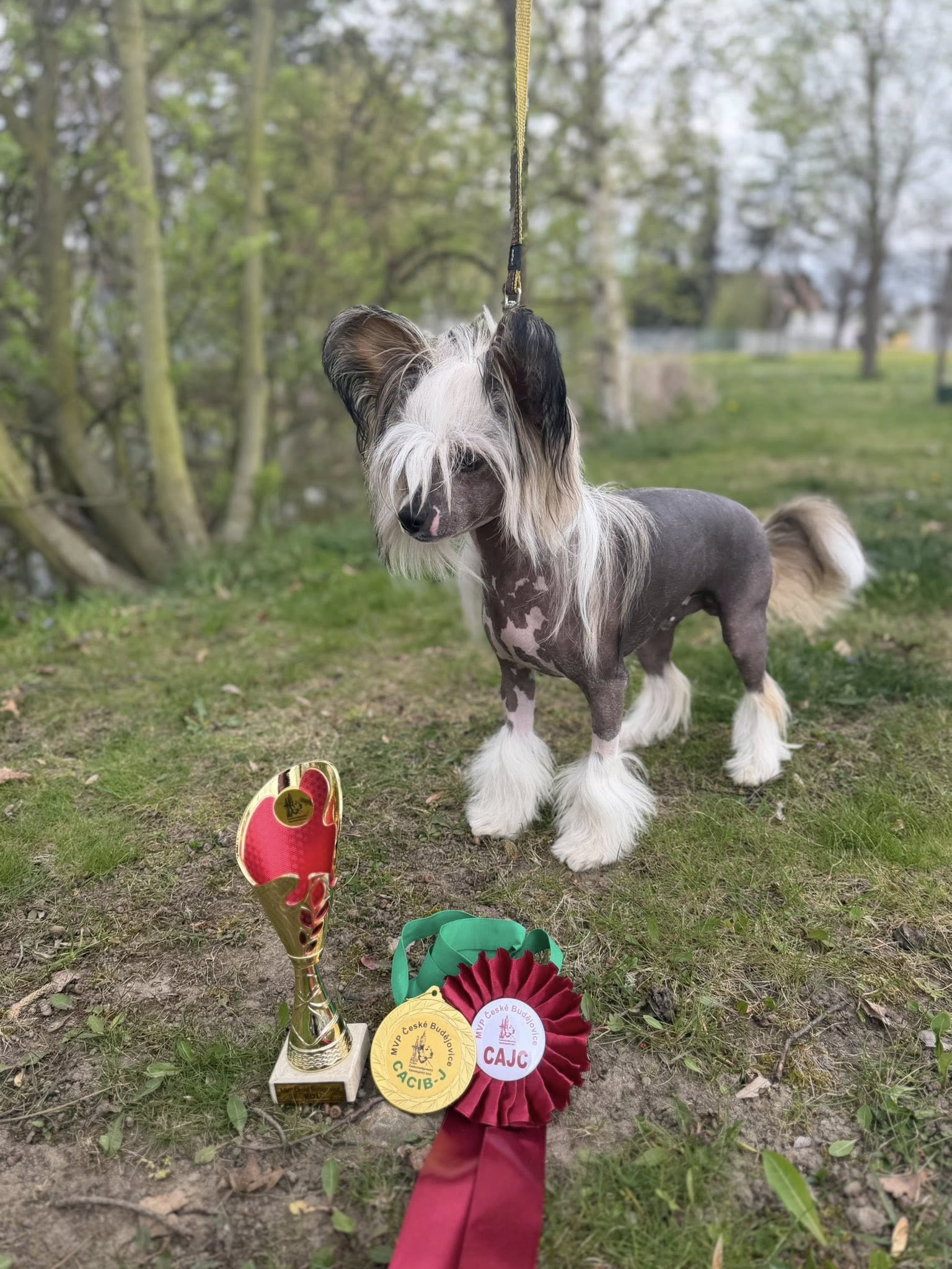 Jimmy Pop Pretty Sweet