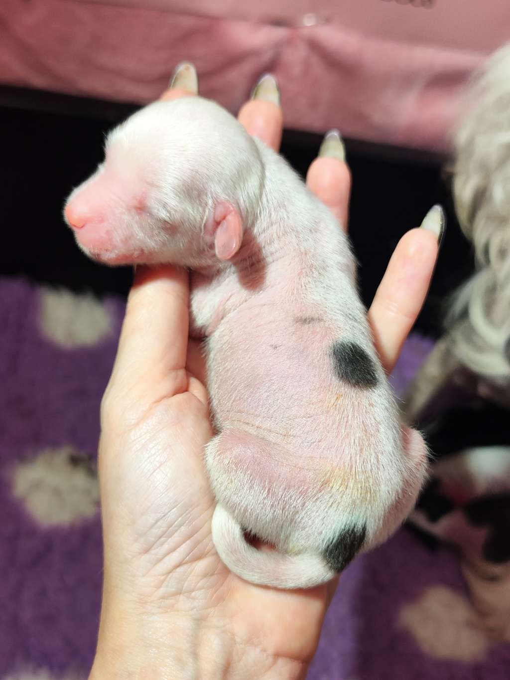 Naked Stars Chasing Neon Rainbows