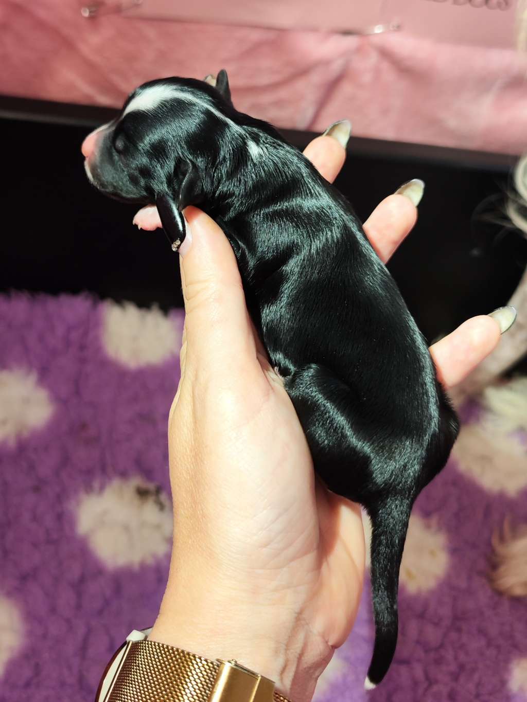 Naked Stars Rainbow To Your Storm