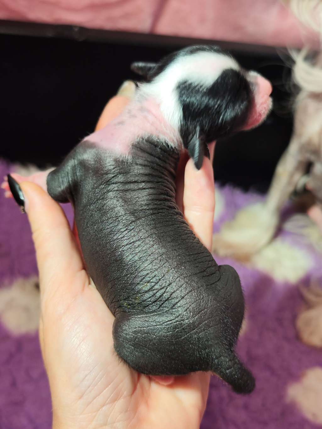 Naked Stars Rainbow State Of Mind