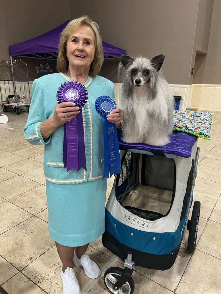 Kerasilk Soluna Shimmering Star