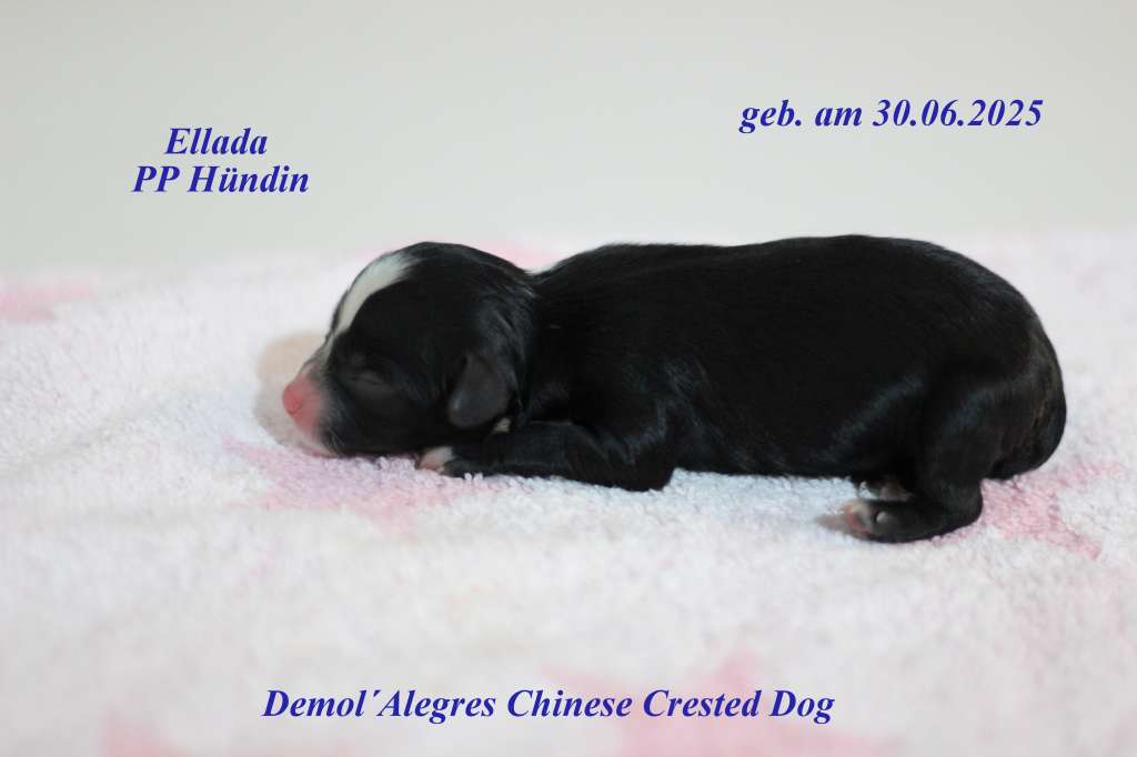 Demol'Alegres Ellada