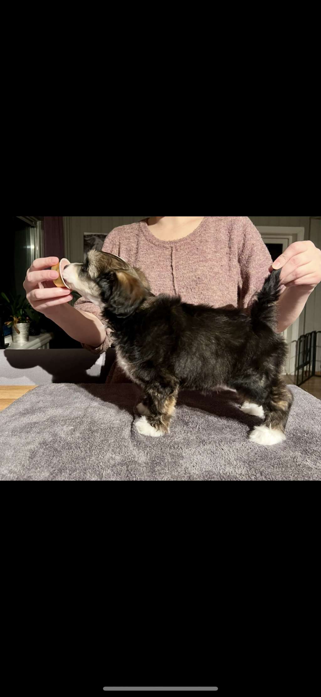 Have You Ever Seen The Rain