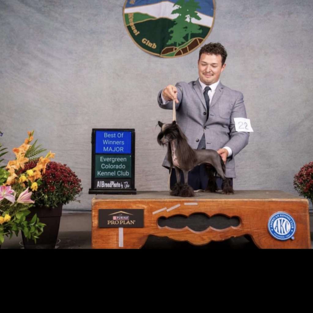 Naked & Famous Checking All Your King's