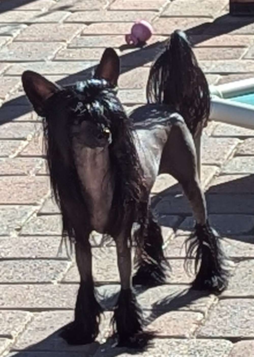 Crest-Vue Far From Normal