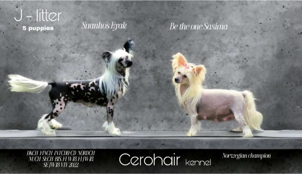 Cerohair J litter