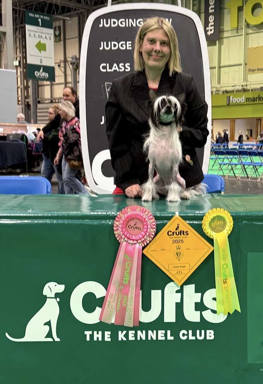 Yaquinas Licence To Win